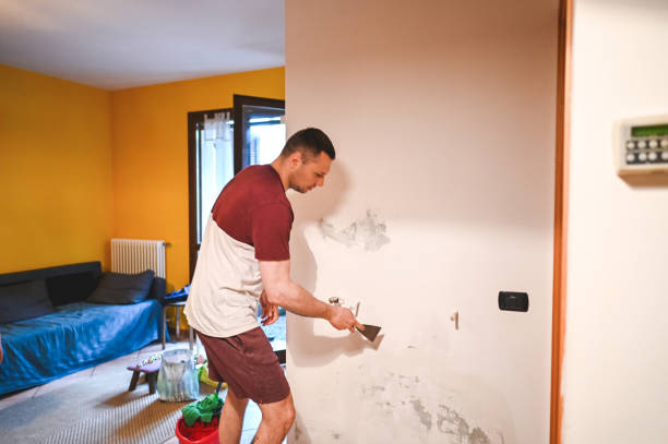 Best Crawl Space Mold Removal  in Mountain Home Af, ID